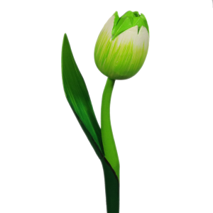 Groen