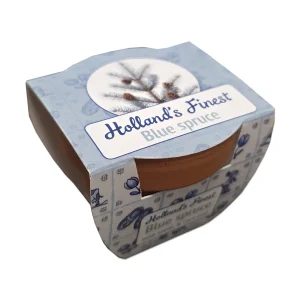 Blauwe spar